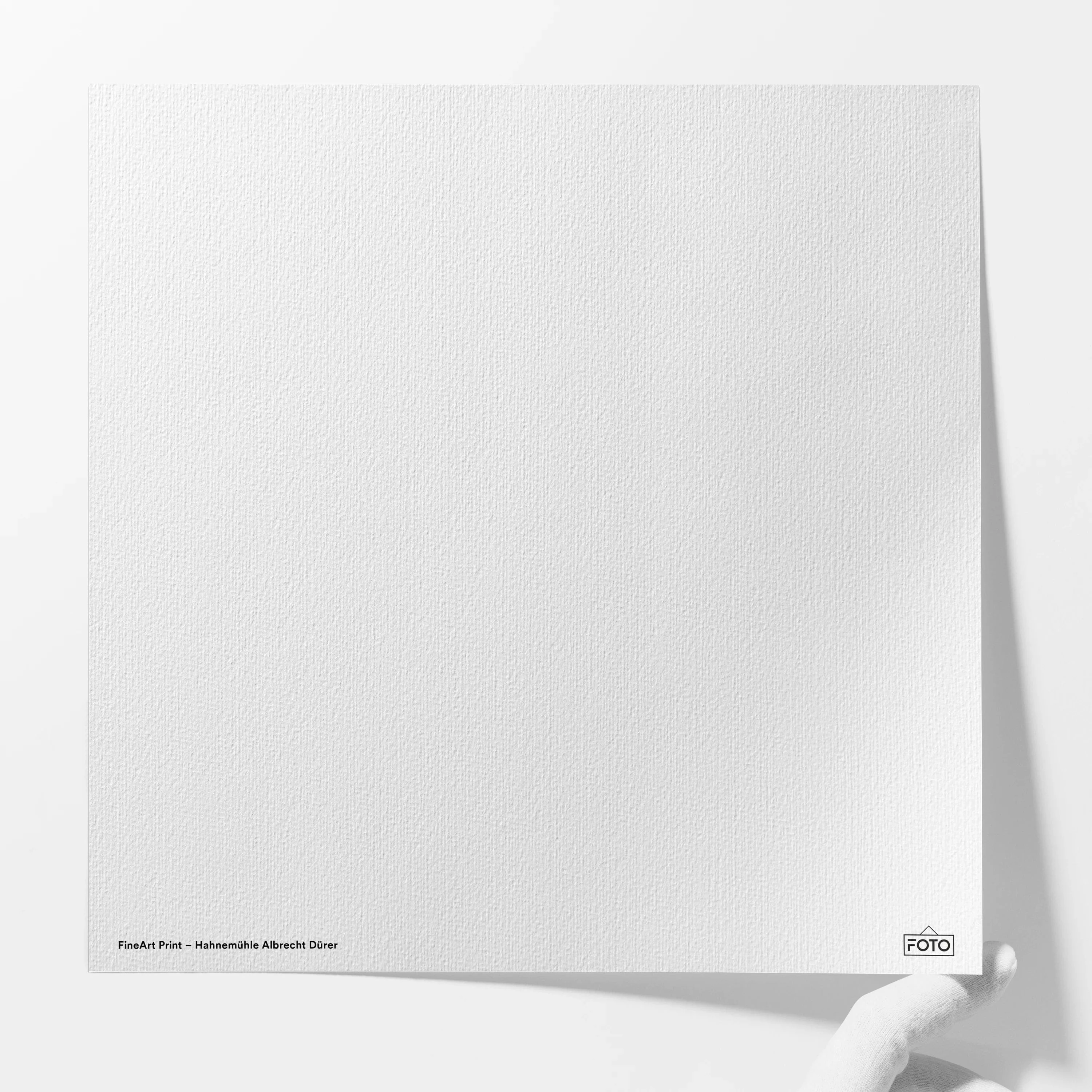 Foto auf Hahnemühle Albrecht Dürer - Image 3