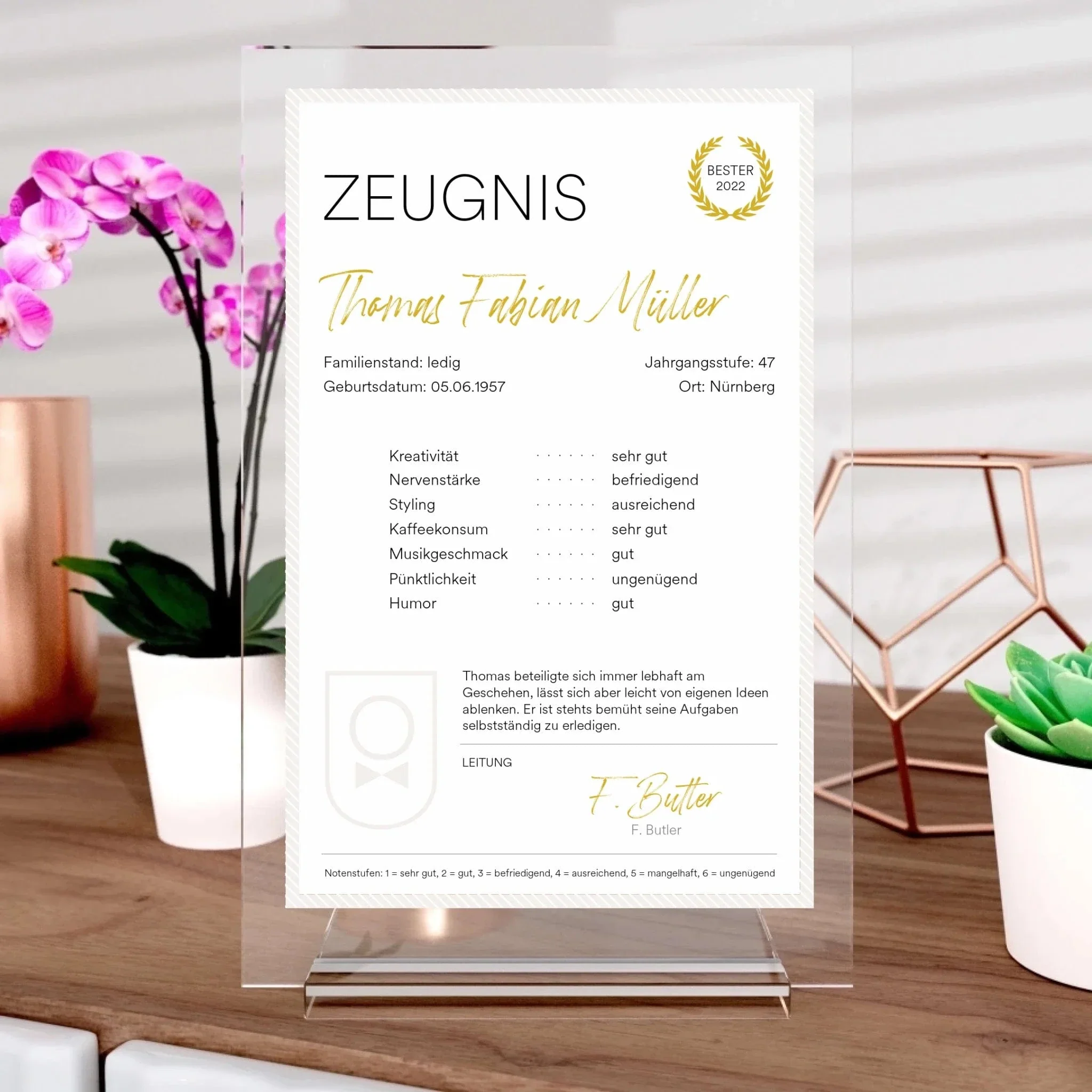 Zeugnis-Aufsteller aus Glas - Image 3